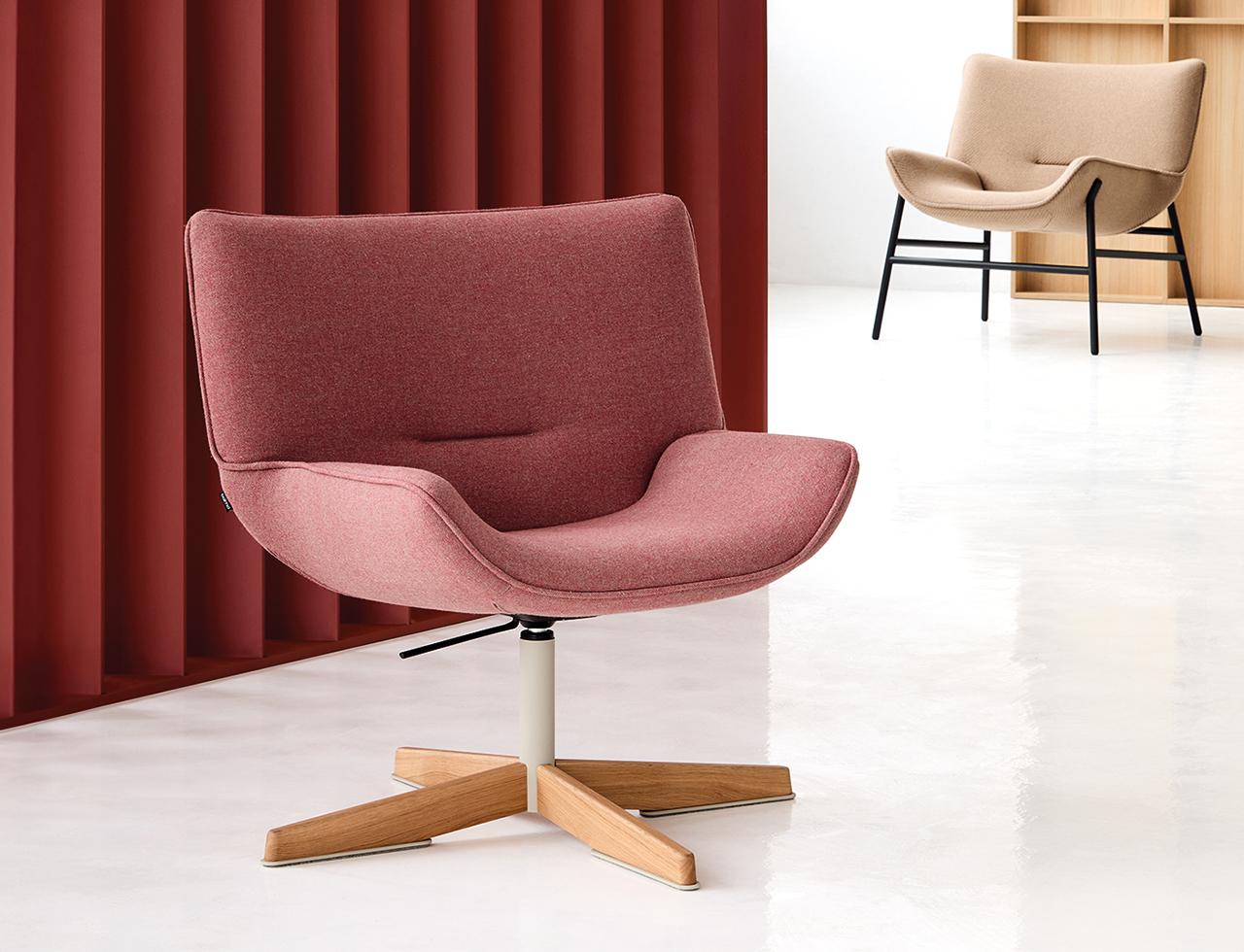 Balma_Litt (3).jpg Litt